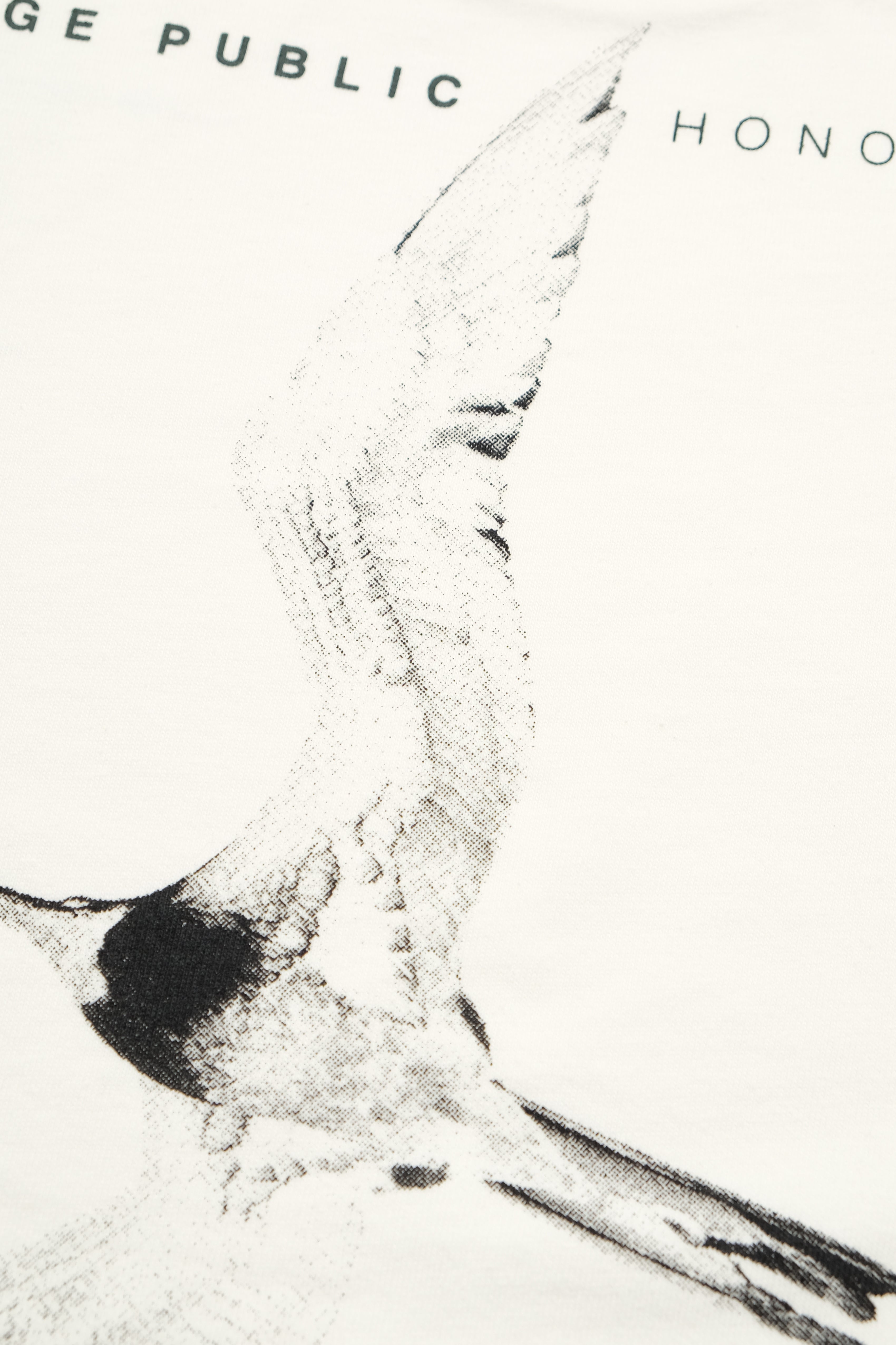 T-Shirt - Iwa Bird - White