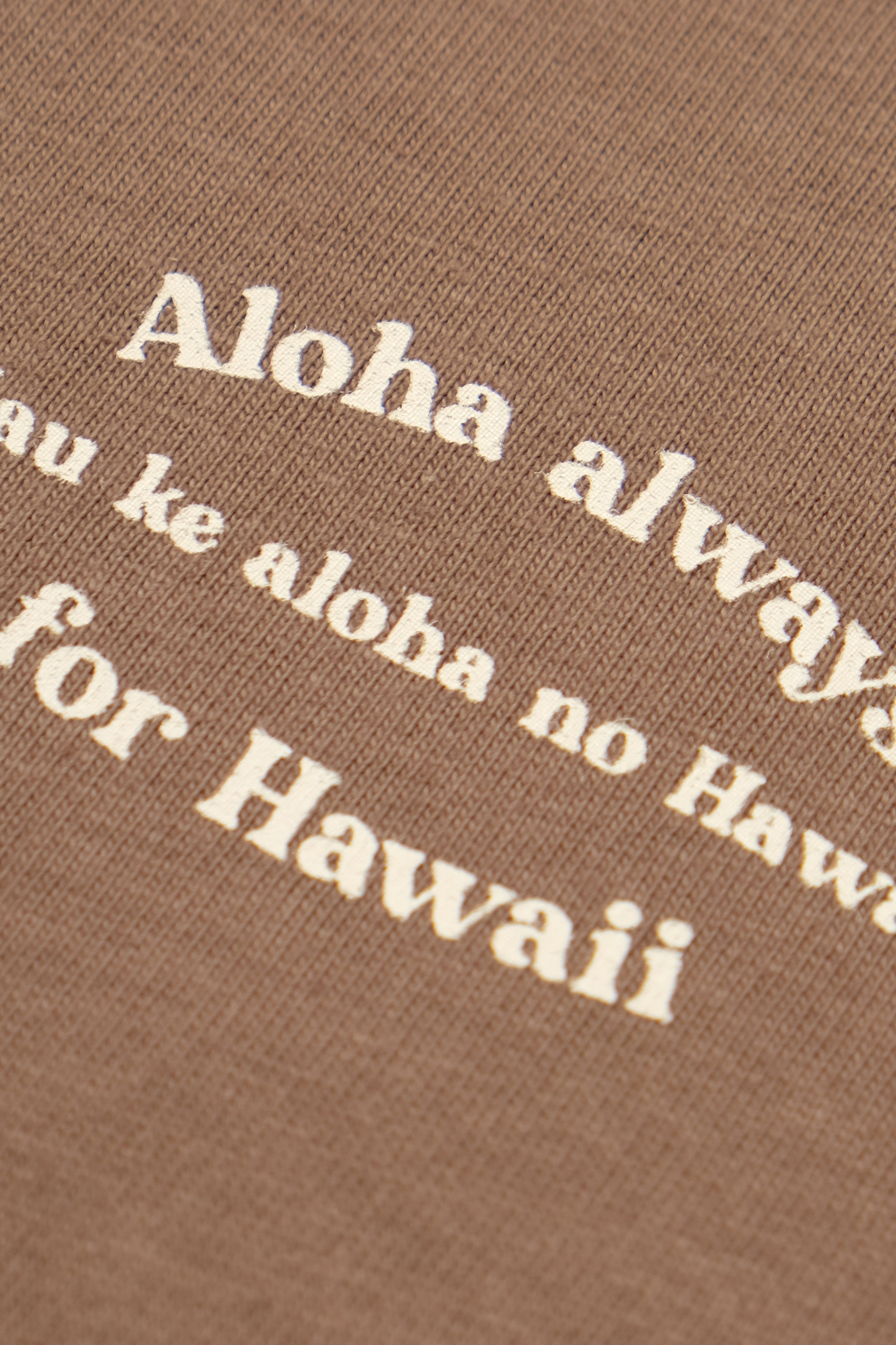 T-Shirt - Slow Jam- Shiitake Brown