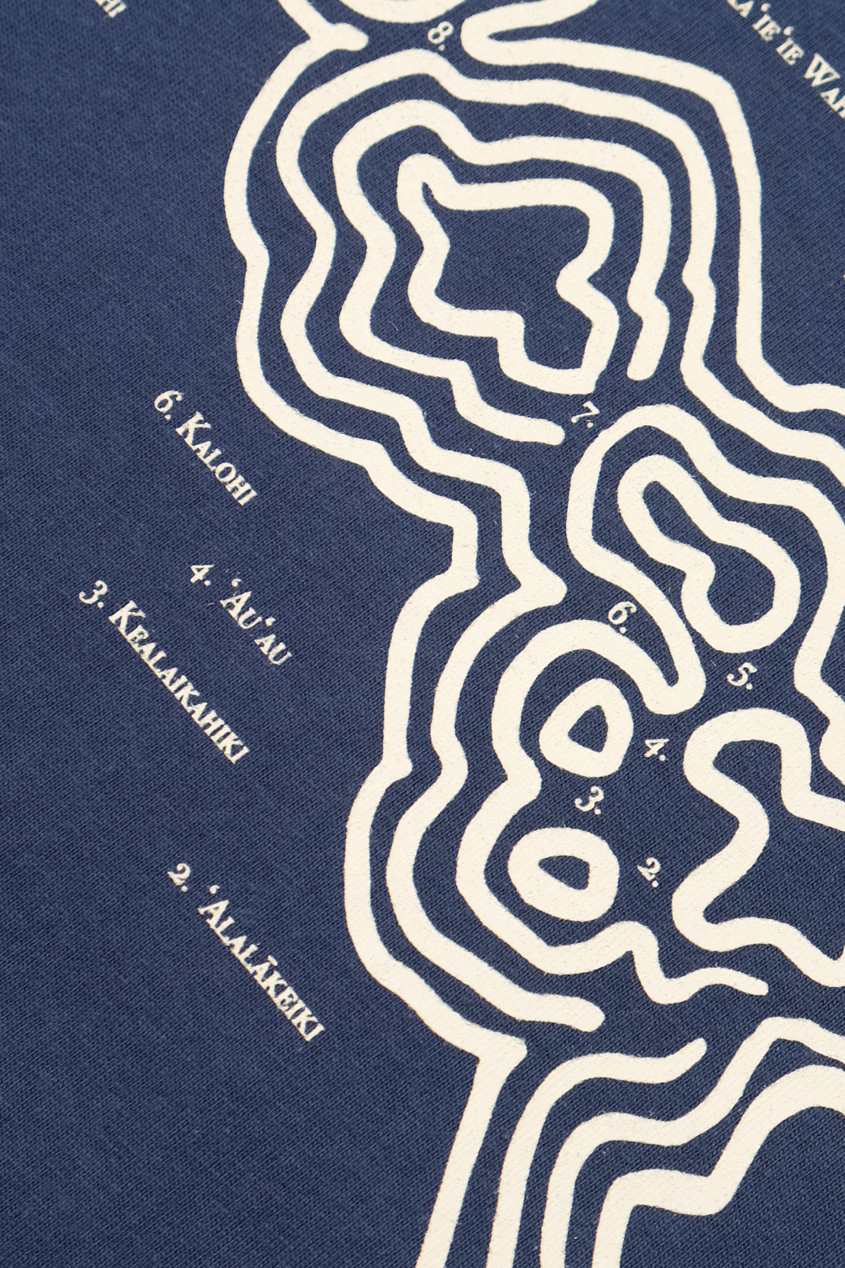 T-Shirt - Hawaiʻi Nei - Denim Blue