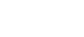 Salvage Public logo