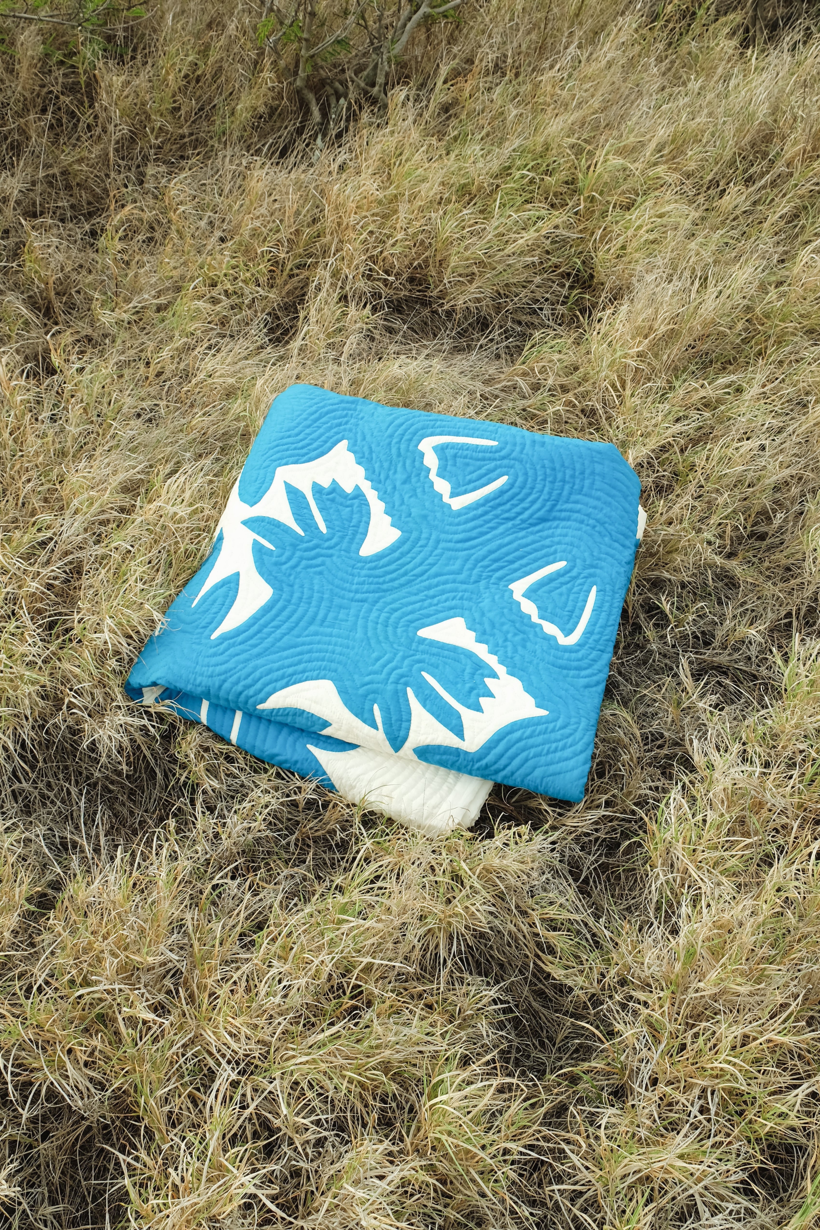 Quilt - Custom Program