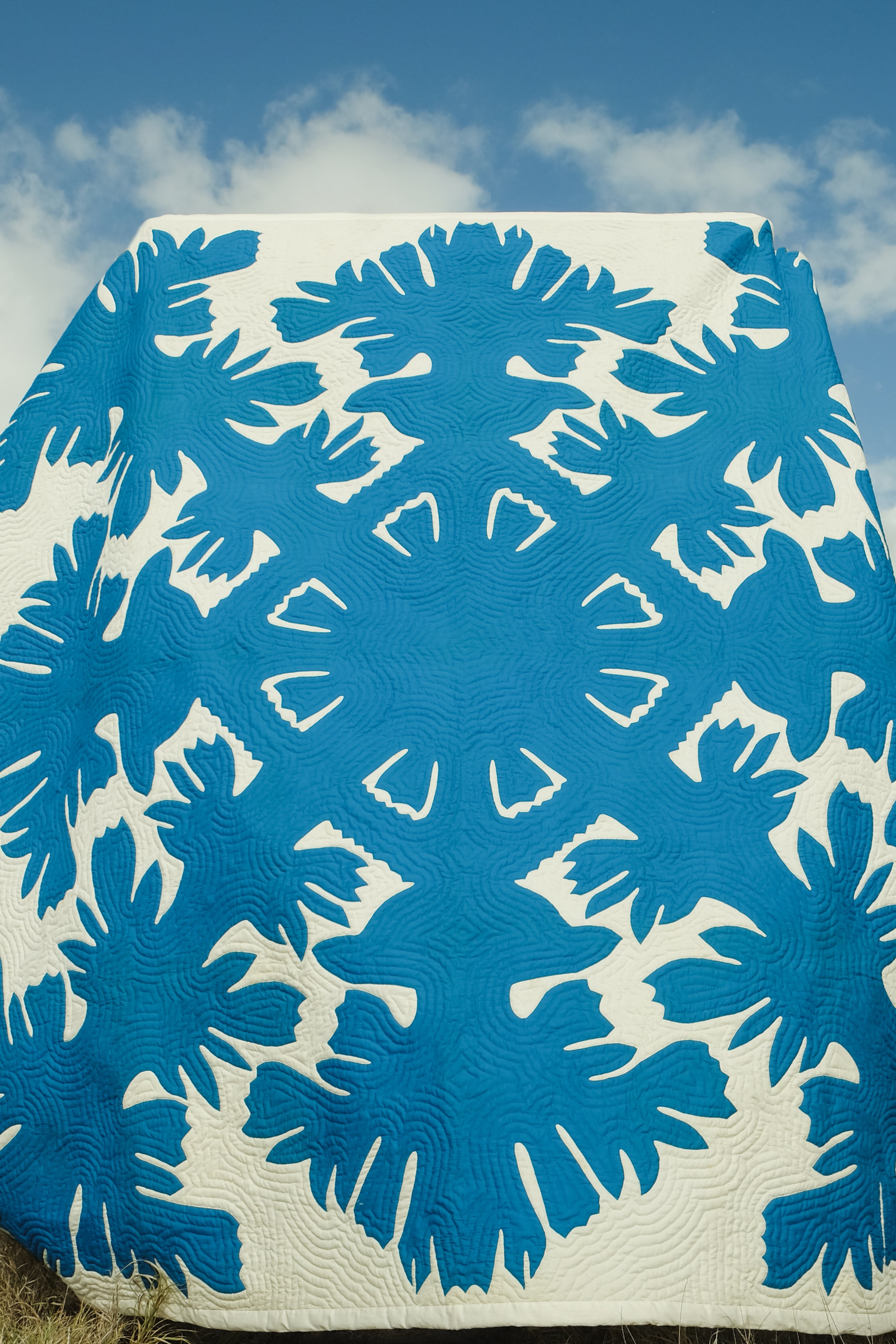 Quilt - Custom Program