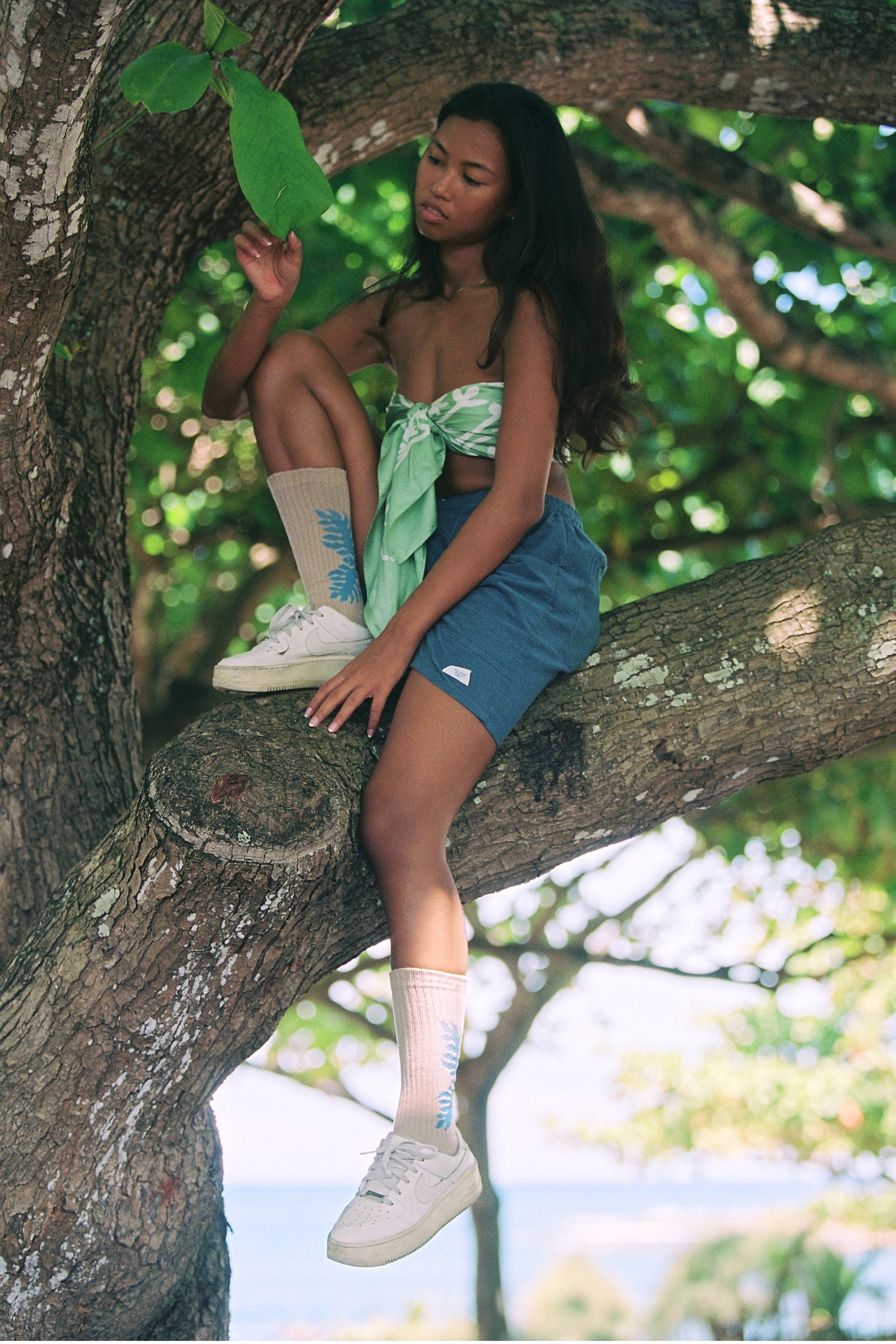 Socks - Lauaʻe - Macadamia/Kiwi
