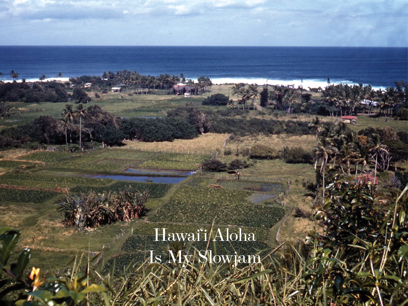 HAWAI'I ALOHA IS MY SLOWJAM