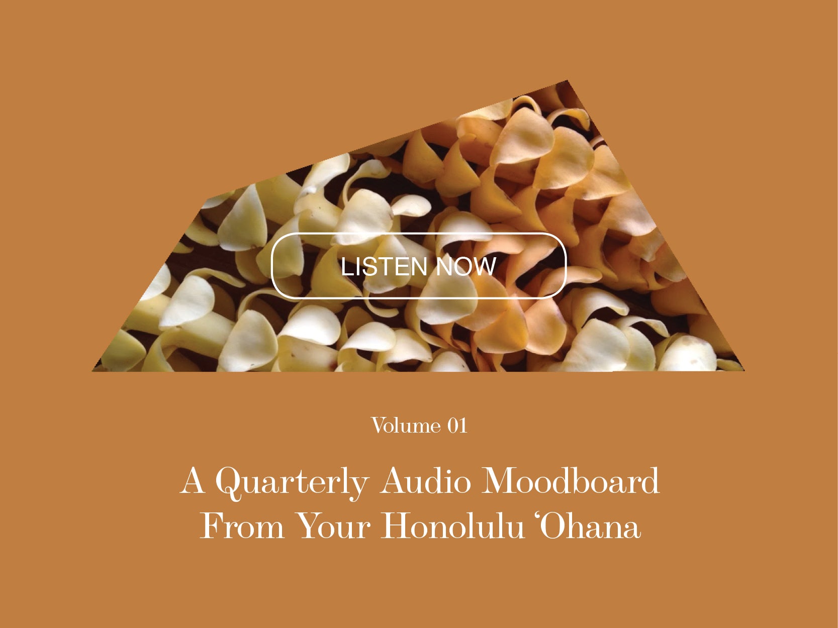 Salvage Public - Volume 01 - A quarterly audio moodboard from your Honolulu ʻOhana.
