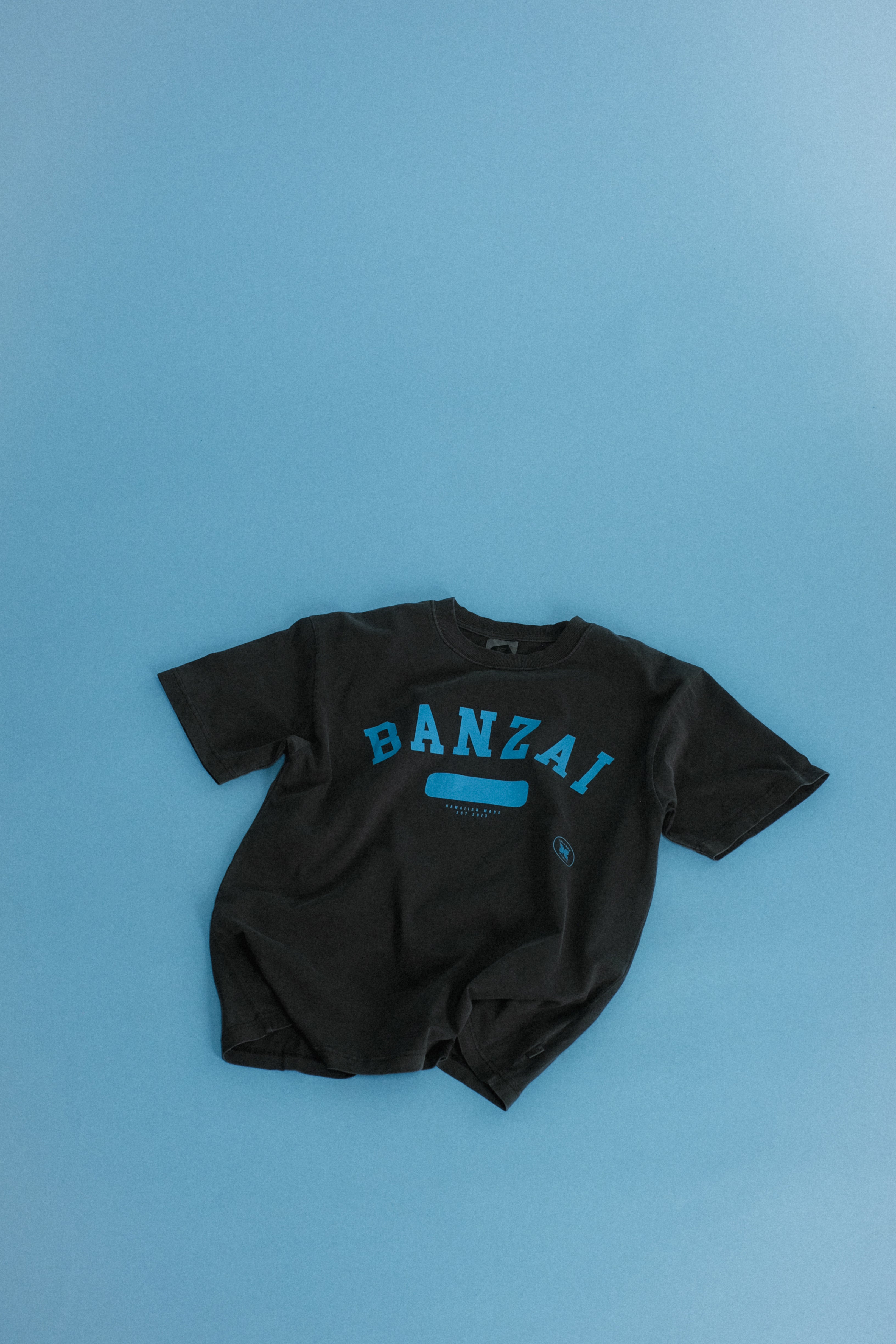 Salvage Public | Hawaiian Sportswear | Apparel Designed in Honolulu