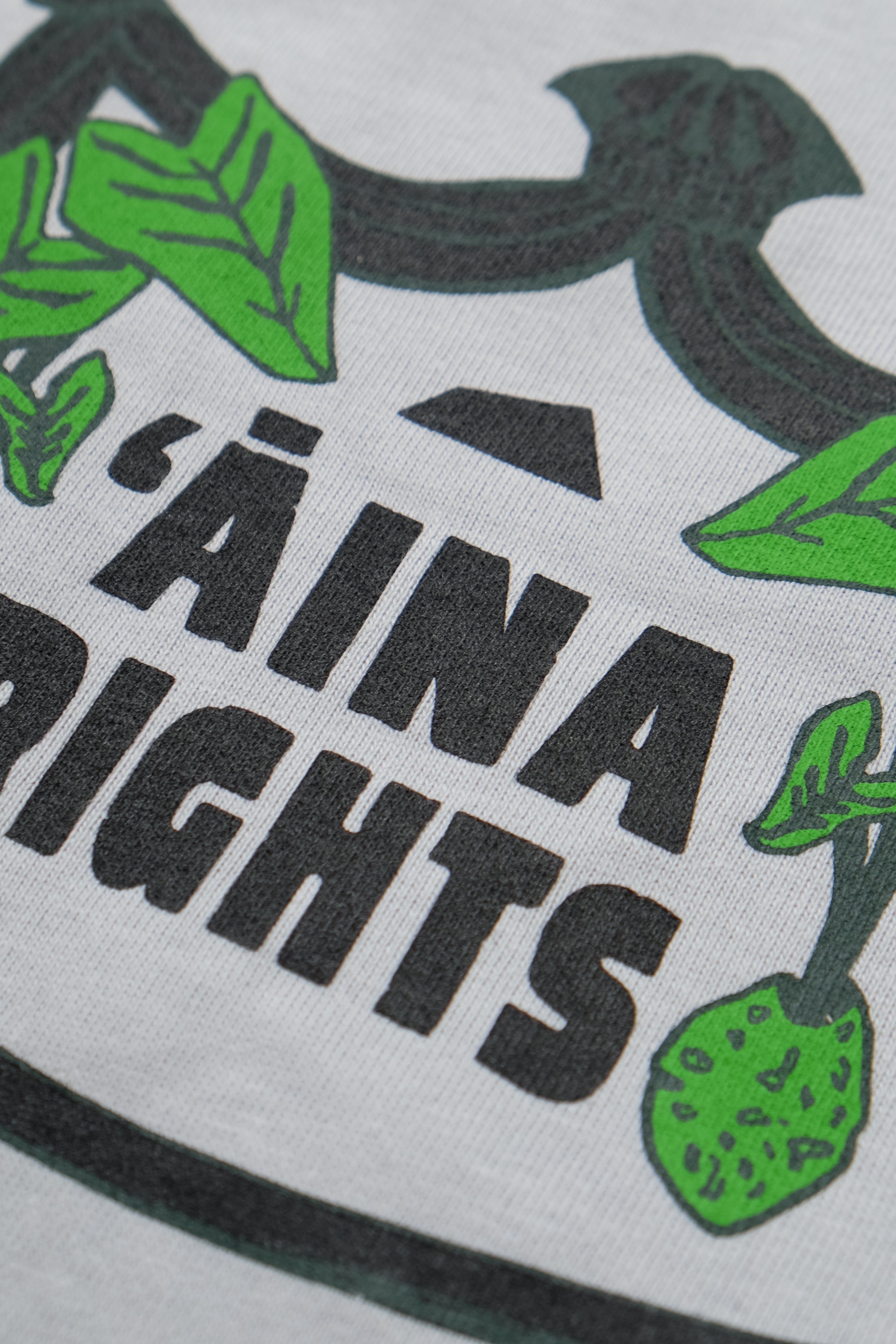 T-Shirt - ʻĀina Rights - Dusty Blue