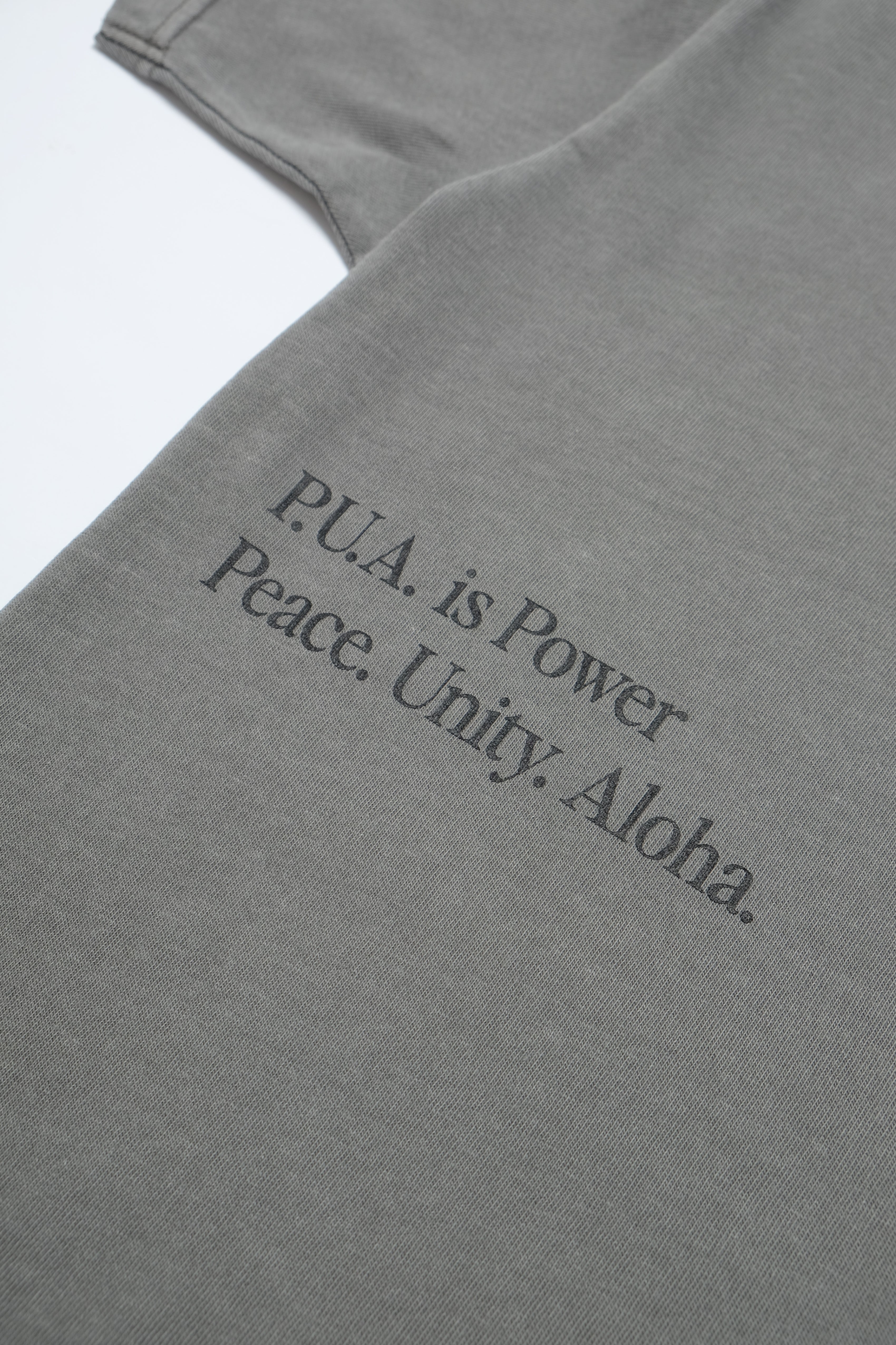 T-Shirt - P.U.A. is Power - Moon Mist