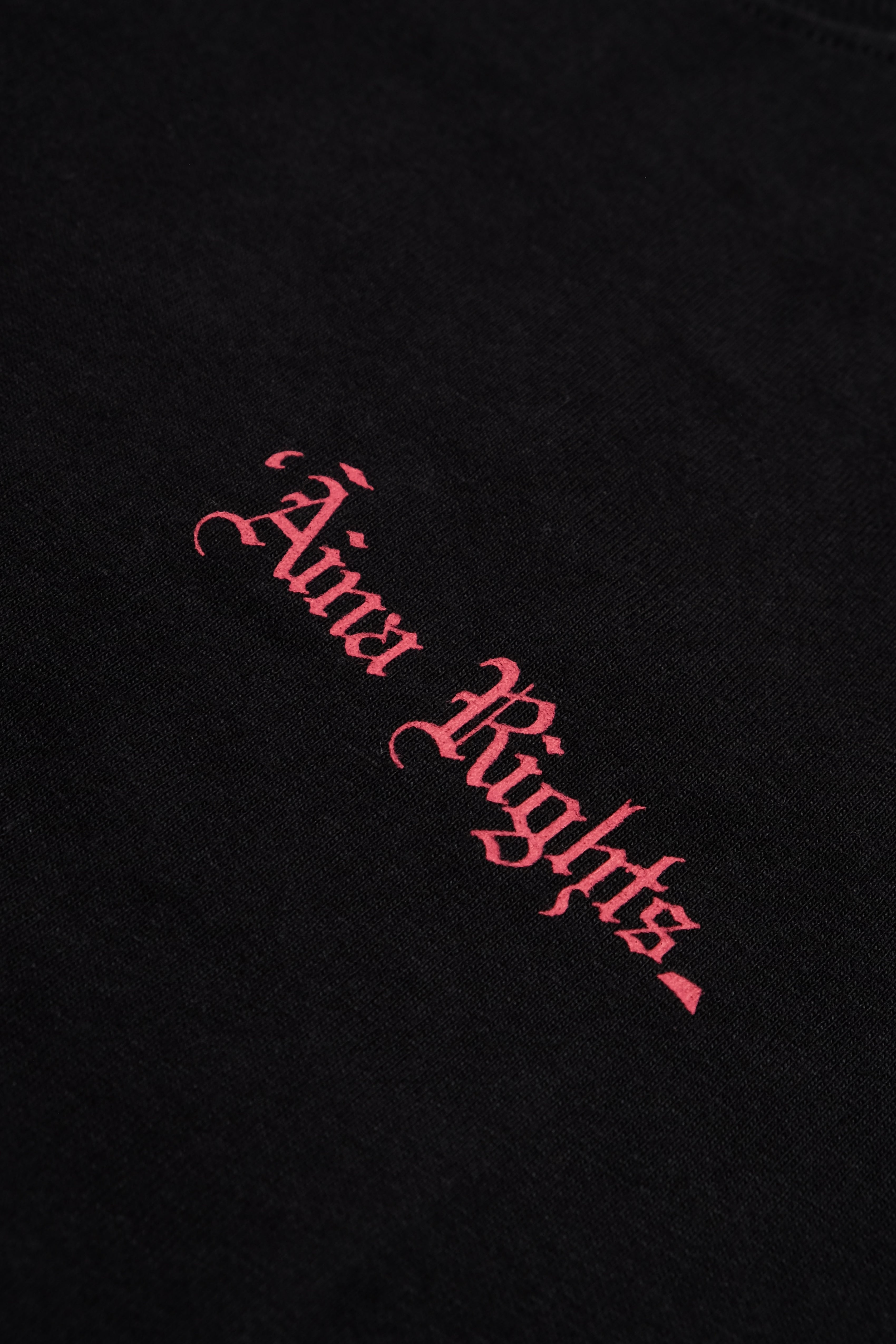 T-Shirt - ʻĀina Rights - Black