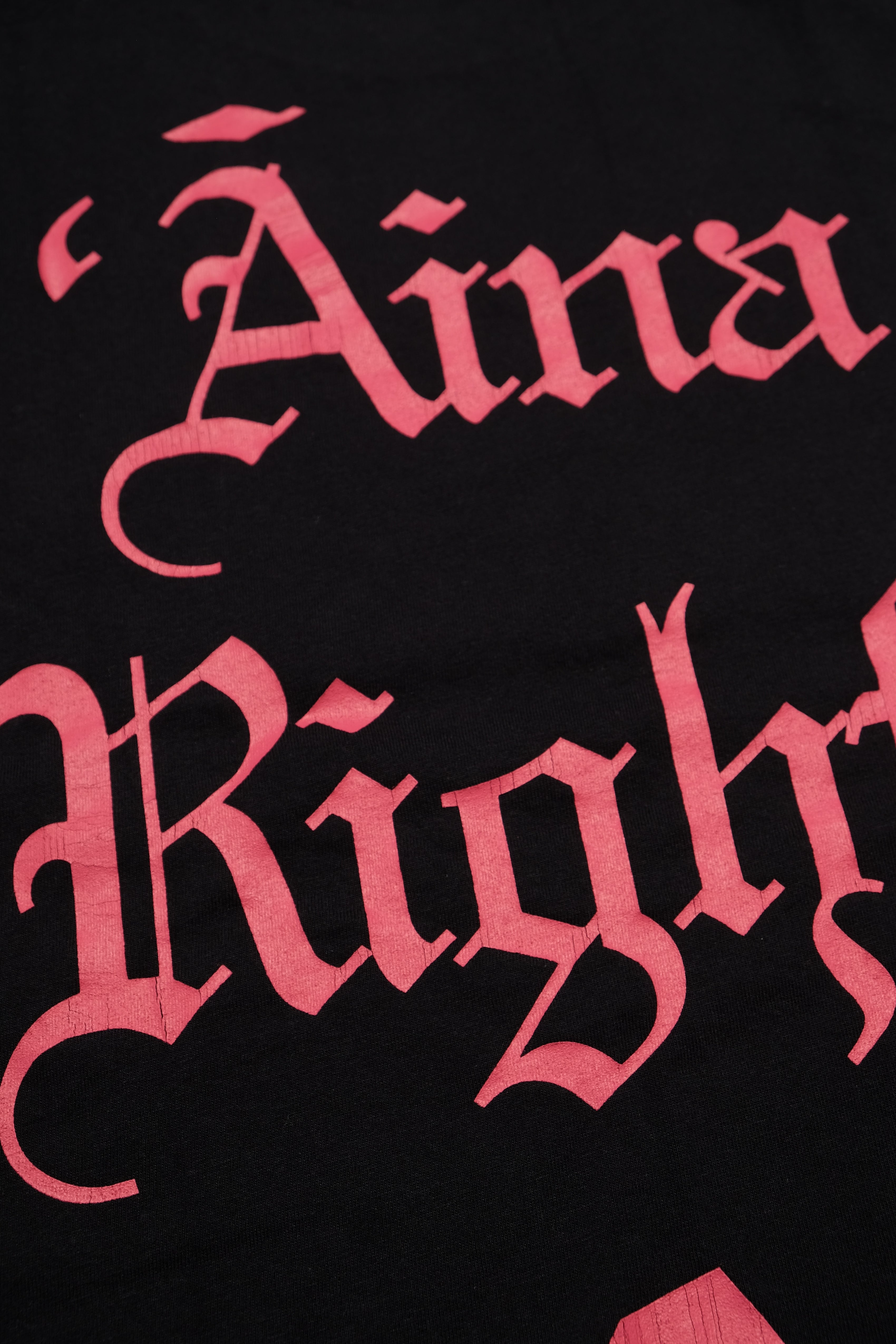 T-Shirt - ʻĀina Rights - Black