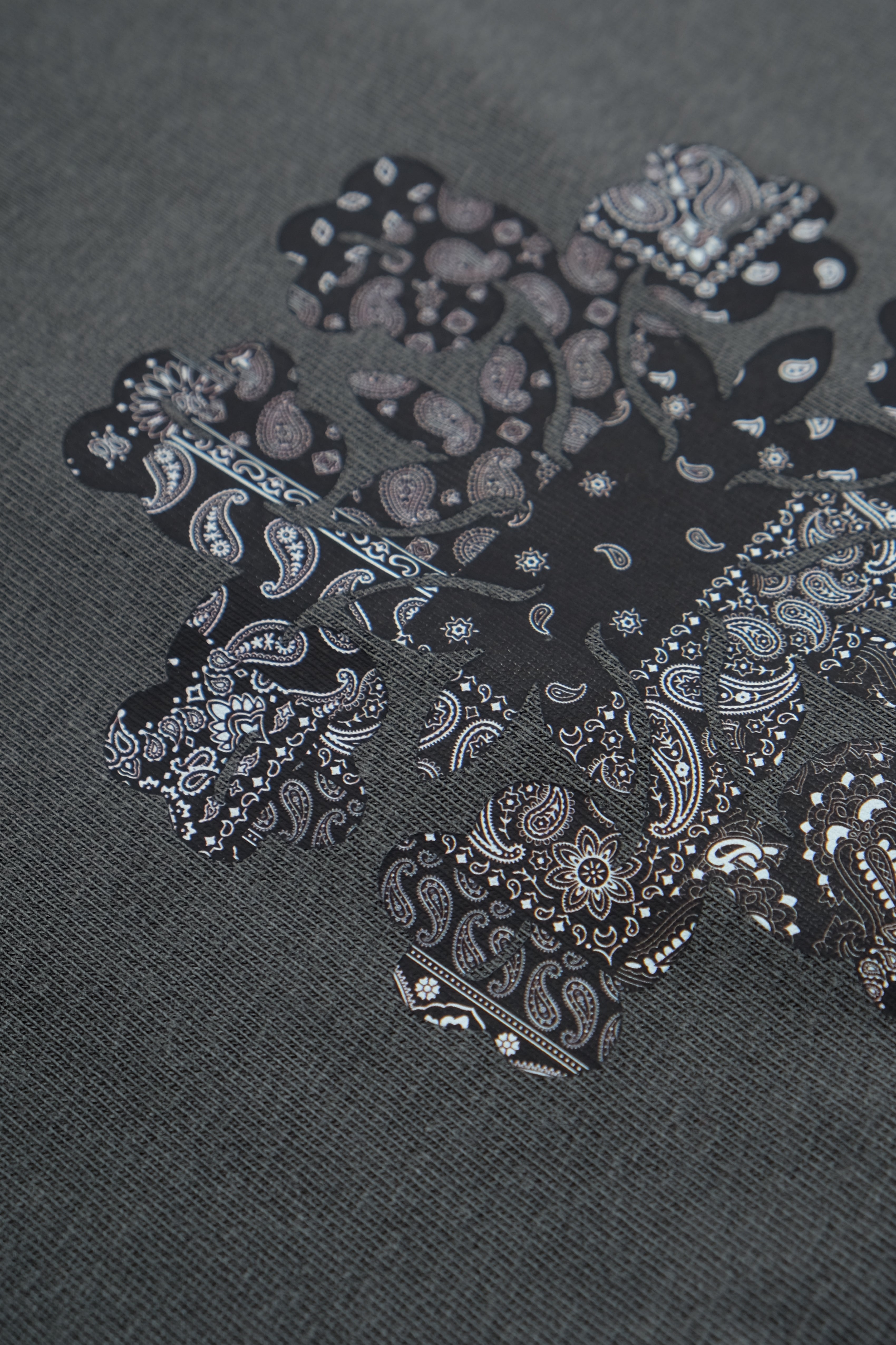 T-Shirt - Hibiscus Paisley - Black