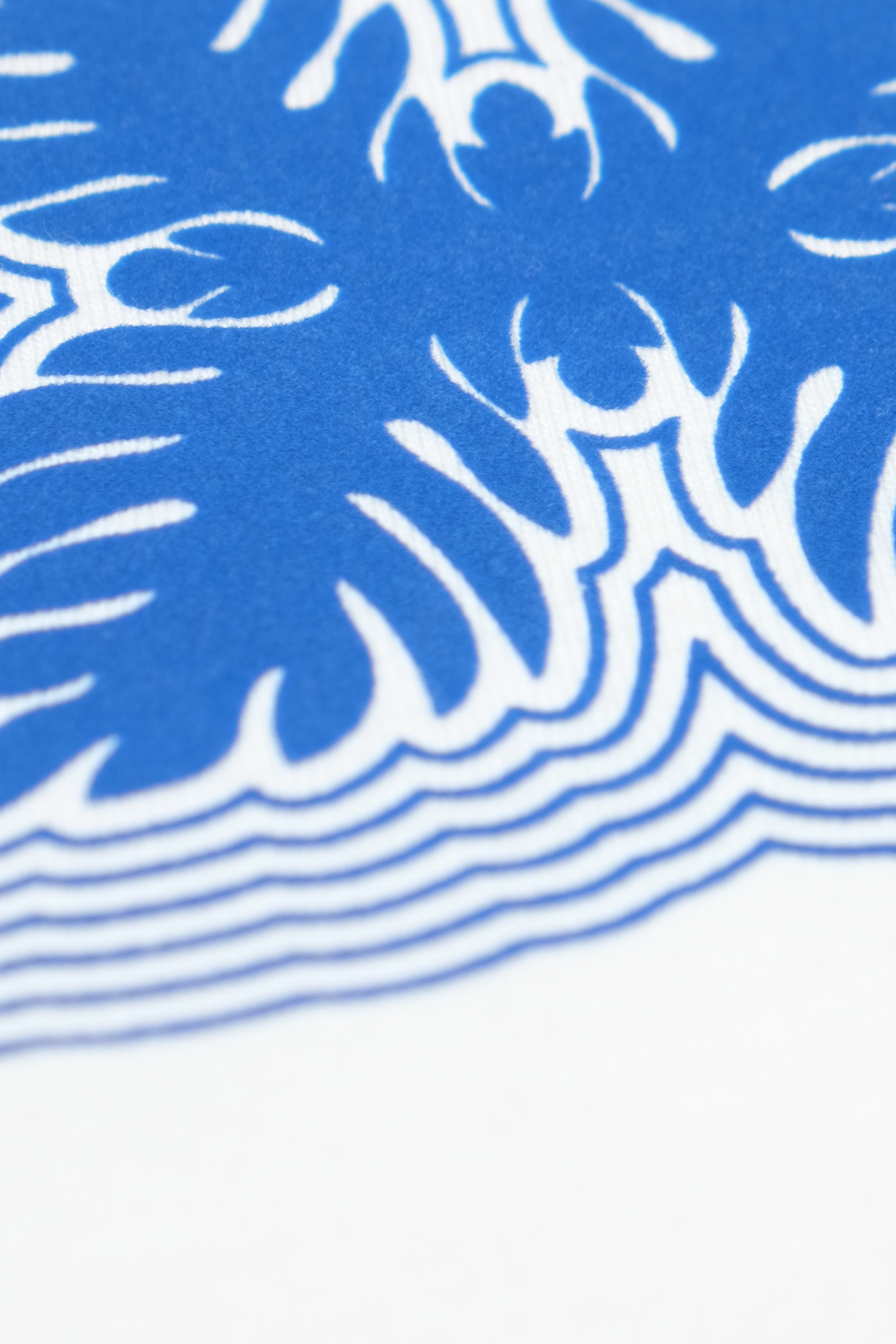 T-Shirt - Lauaʻe Echo- White