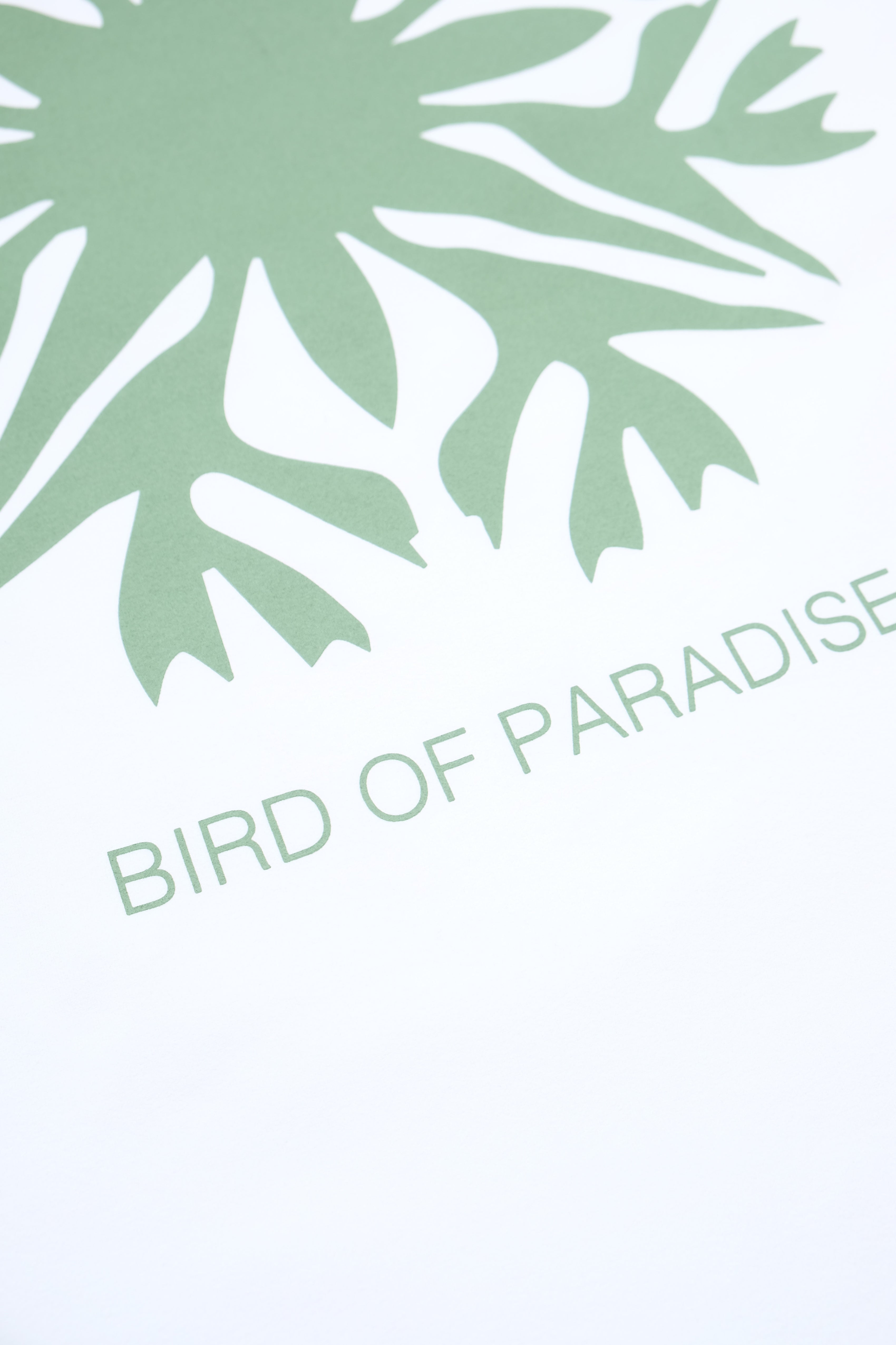 UPF Surf T-Shirt - Bird of Paradise - White