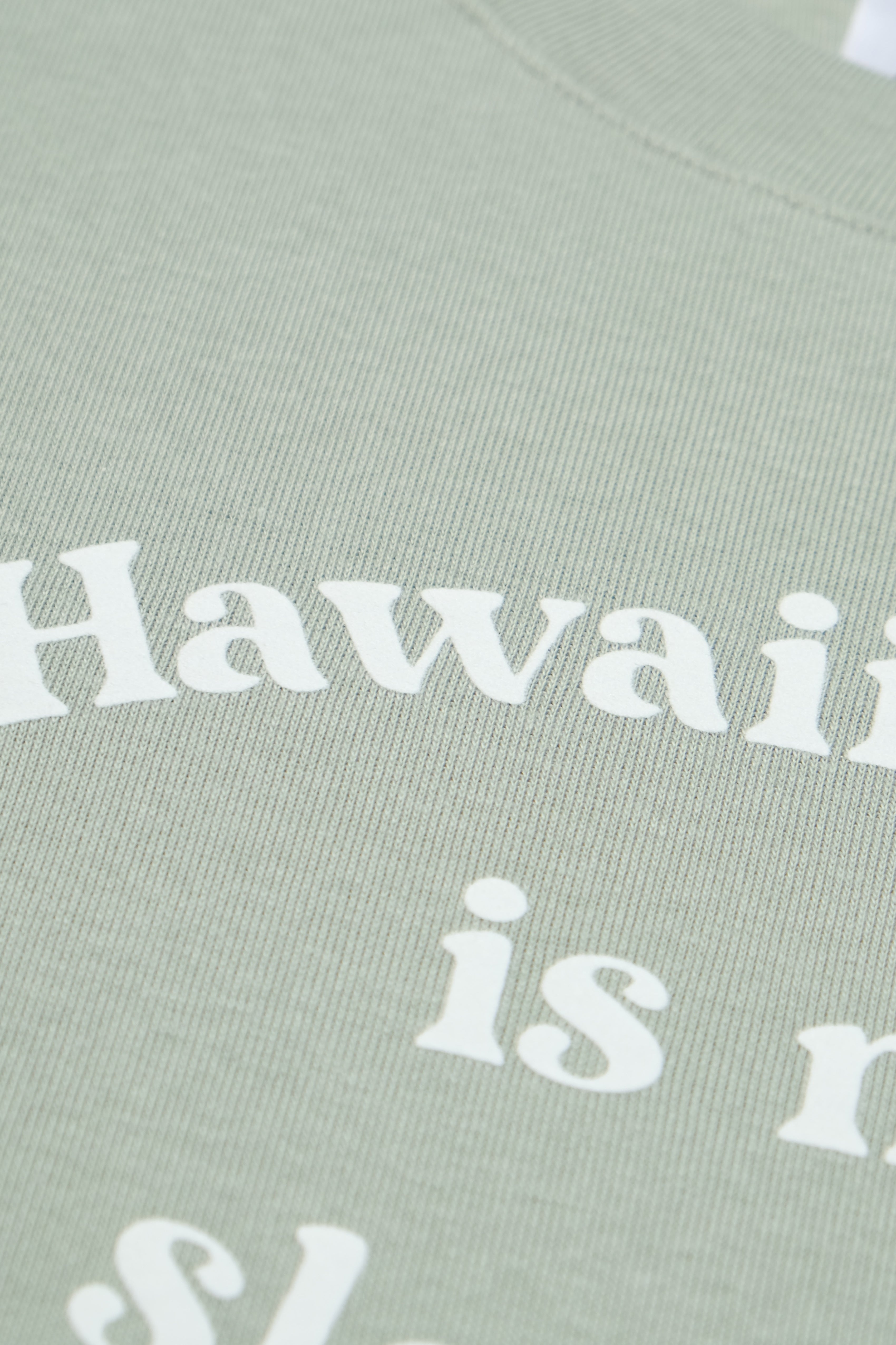 Women's T-Shirt - Slow Jam - Sage