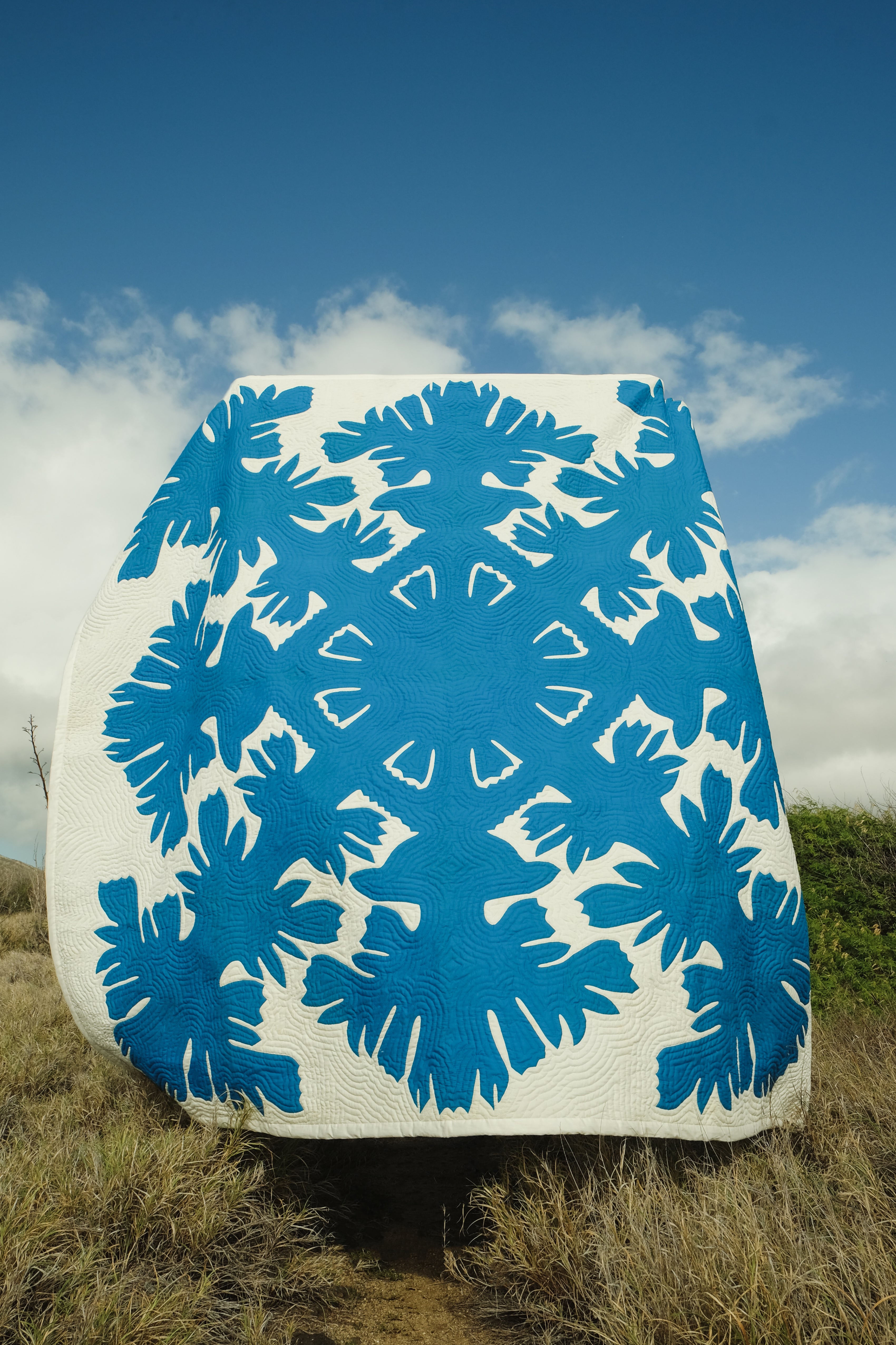 Quilt - Custom Program