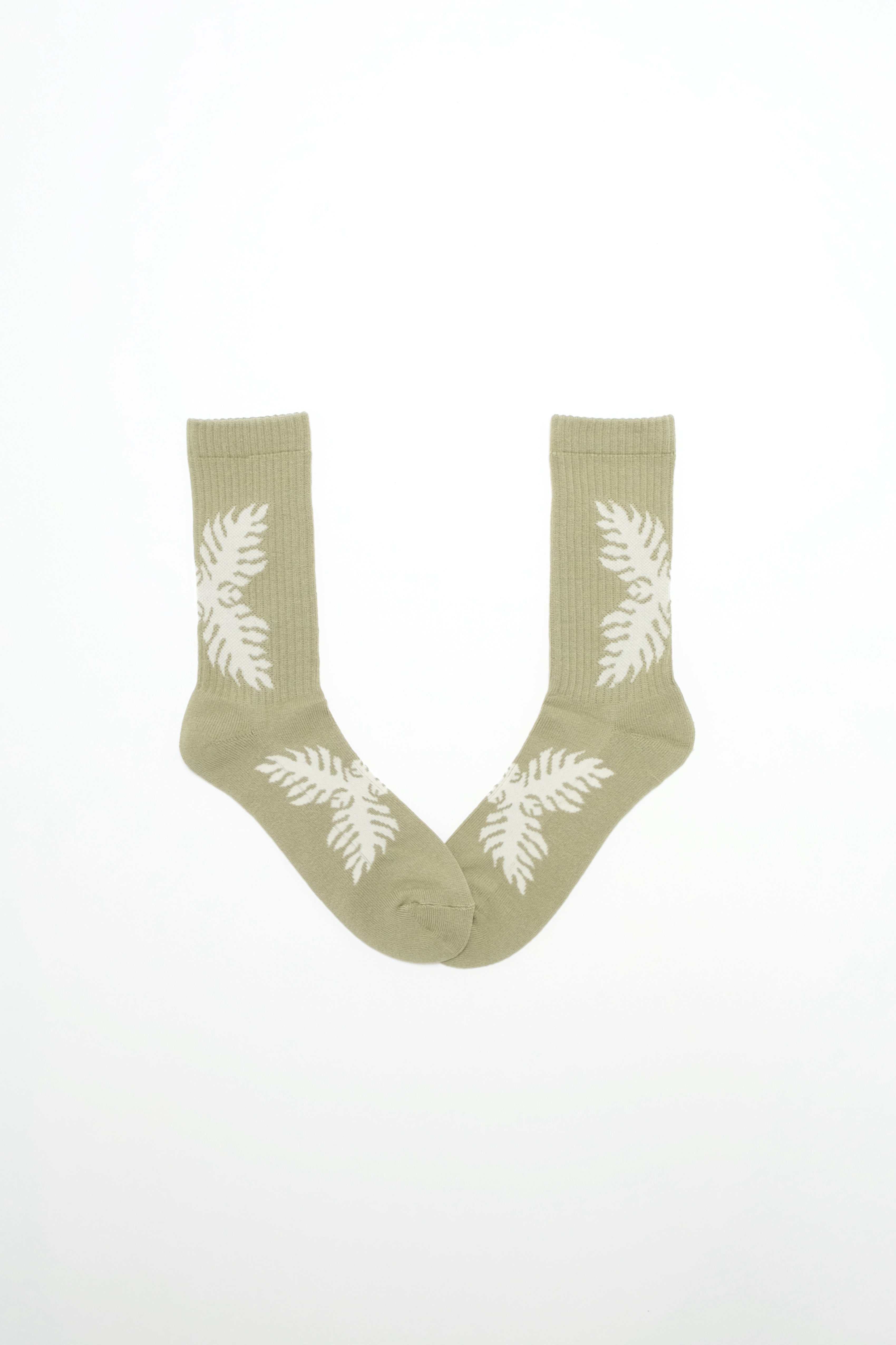 Socks - Lauaʻe - Silversword Sage