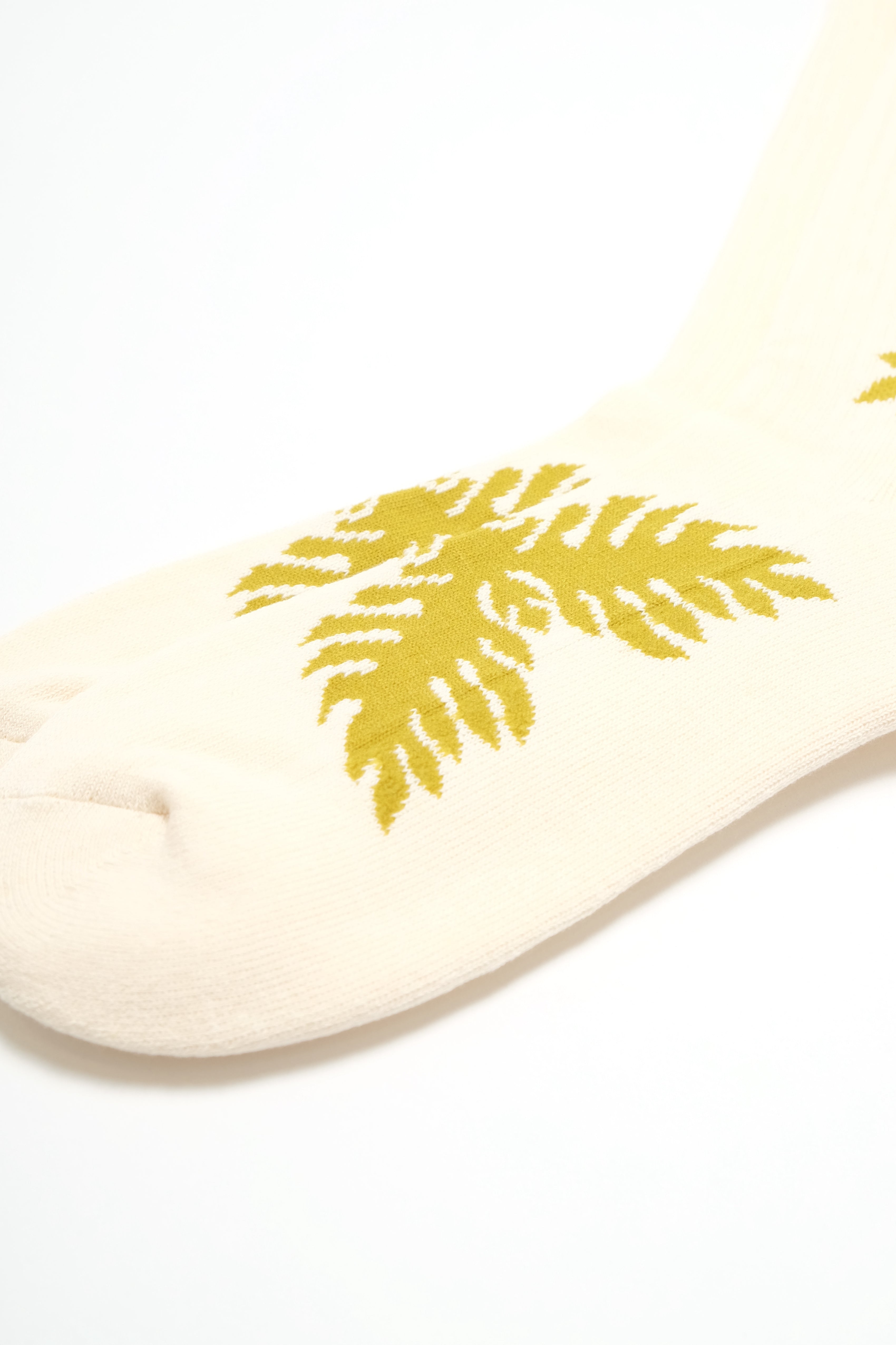 Socks - Lauaʻe - Macadamia/Kiwi